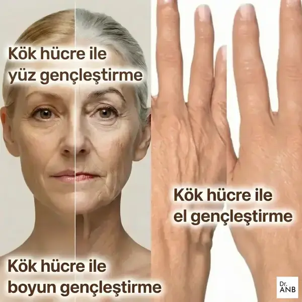 Boyun & El Gençleştirme